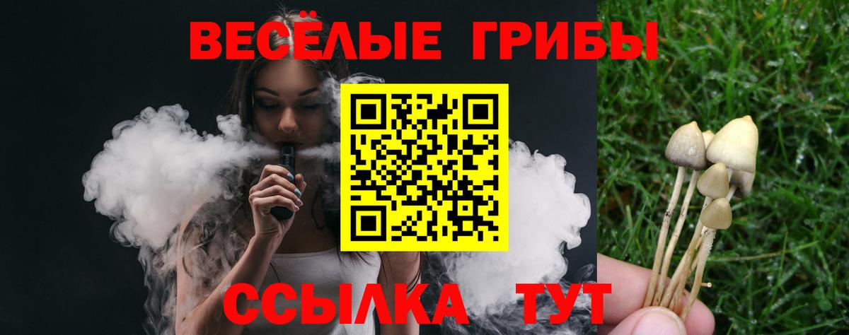 Чита  Галлюциногенные грибы мухоморы  Вход с VPN 