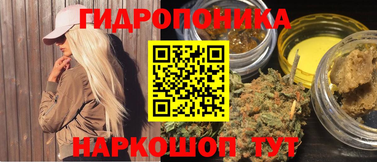 Каннабис конопля Чита